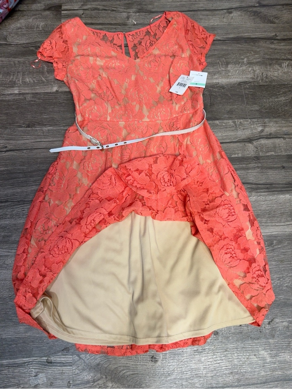 J. Taylor NWT Coral Floral Lace Fit & Flare Dress Size 8 Belted - Picture 5 of 11